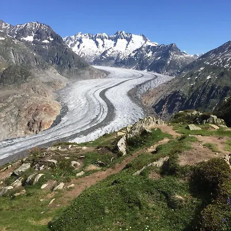 Charming With Mountain Views Aletsch Unesco Appartamento