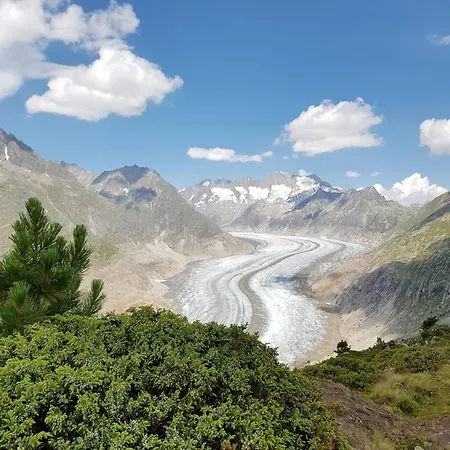 Charming With Mountain Views Aletsch Unesco * Riederalp