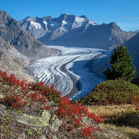 Charming With Mountain Views Aletsch Unesco * Riederalp