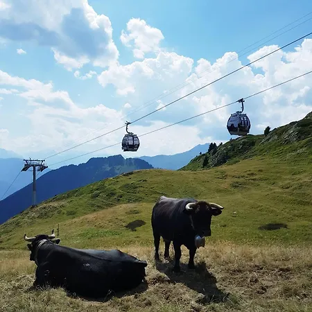 Charming With Mountain Views Aletsch Unesco
