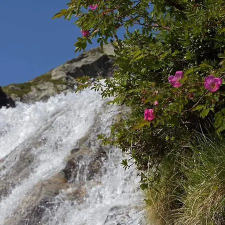 Charming With Mountain Views Aletsch Unesco Appartamento