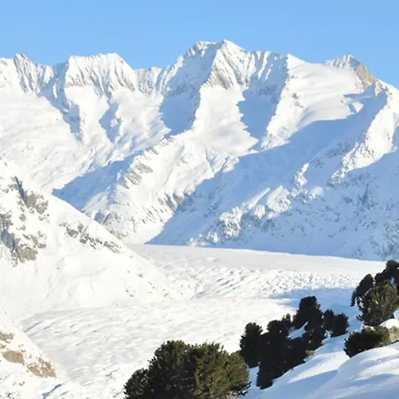 Charming With Mountain Views Aletsch Unesco * Riederalp